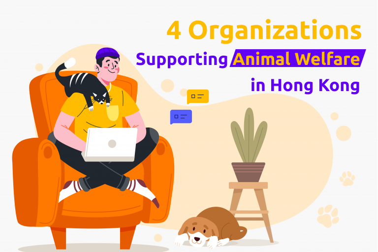 4 Organisations Supporting Animal Welfare in Hong Kong